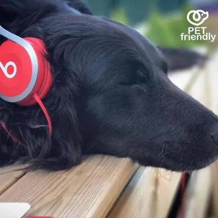 Casitas De Santillana Hébergement de vacances Santillana del Mar