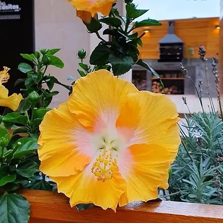 Casitas De Santillana Hébergement de vacances