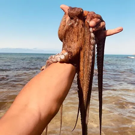 Hébergement de vacances Casitas De Santillana *
