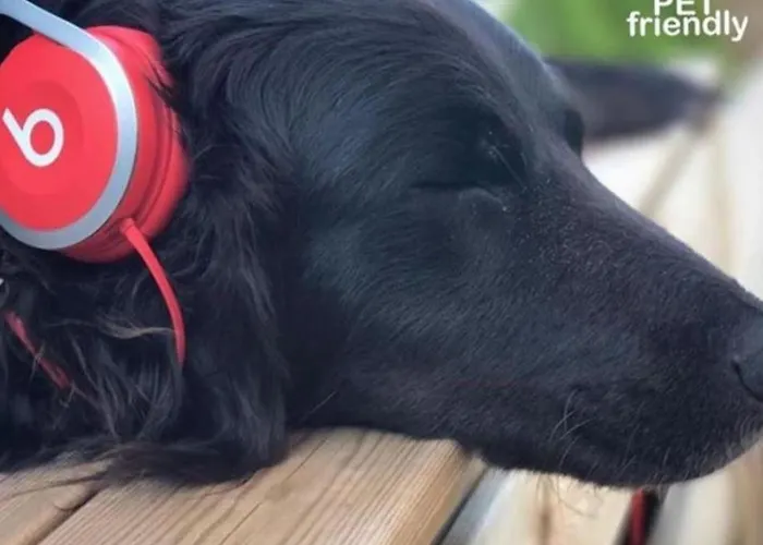 Casitas De Santillana Nyaraló Santillana del Mar
