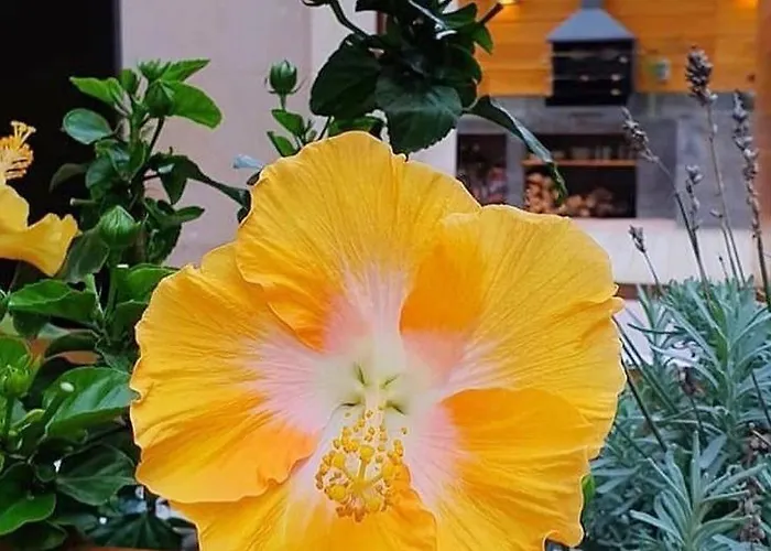 Casitas De Santillana Nyaraló