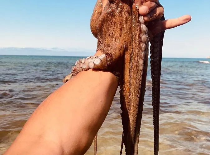 Nyaraló Casitas De Santillana *