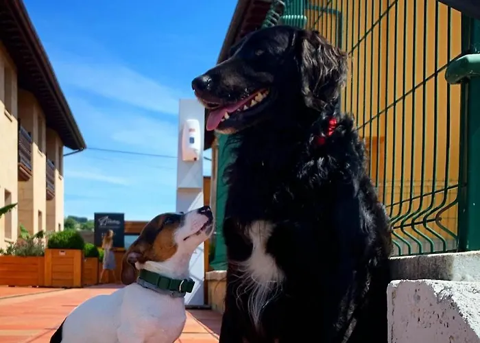 Casitas De Santillana * Santillana del Mar